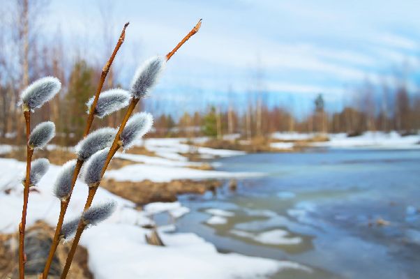 Фото: istockphoto / Leonid Ikan