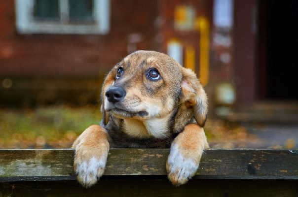 Фото: istockphoto/Alexander Kuzmin