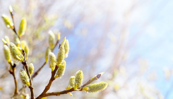 Фото: istockphoto / ANGHI