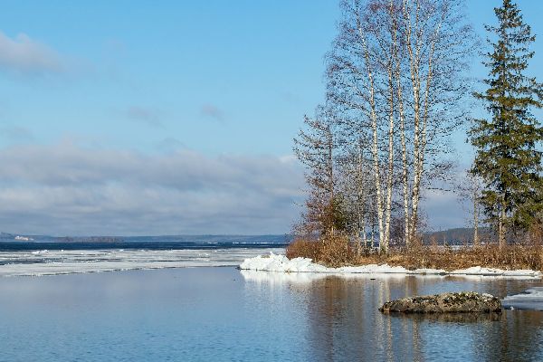 Фото: iStock/Ludmila Kapustkina