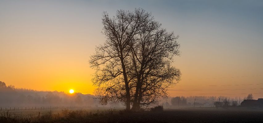 Фото: iStock/DenBoma