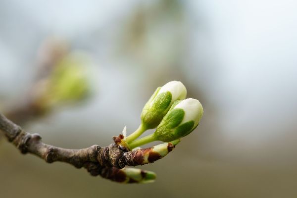 Фото: iStock/Sebastian Frank