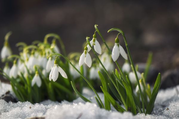 Фото: iStock/Muzka