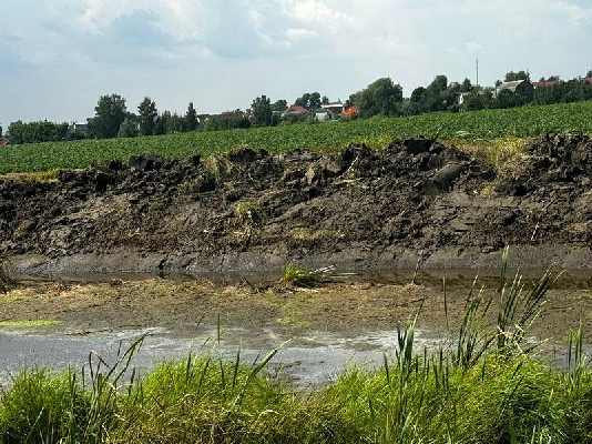 Фото: Министерство экологии и природопользования Московской области