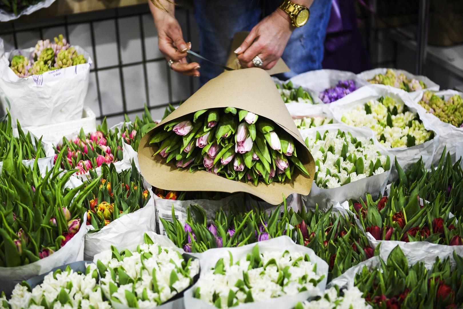 Сколько стоят тюльпаны на рынке. Рижский рынок каллы. Нарциссы на Рижском рынке. Рижский рынок тюльпаны. Лилии на Рижском рынке.