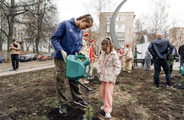 Акция «Кедры Подмосковья» стартовала с посадки 20 деревьев в Щёлкове