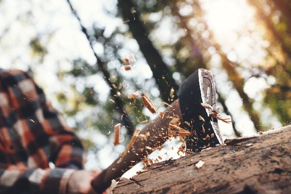 Фото: istockphoto.com/LeonidKos