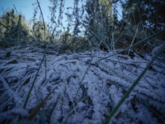 Фото: iStock/OleJohny