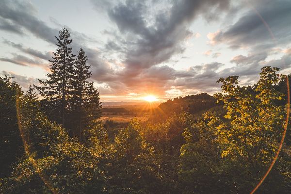 Фото: iStock/shanecotee