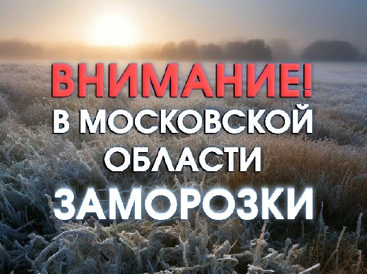 Фото: пресс-служба ГУ МЧС РФ по МО