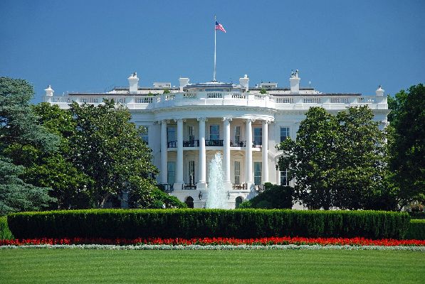 NYP: в администрации Трампа разочарованы подходом Уиткоффа к переговорам с РФ