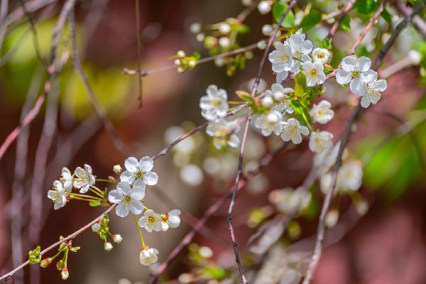 Фото: iStock/sandipruel