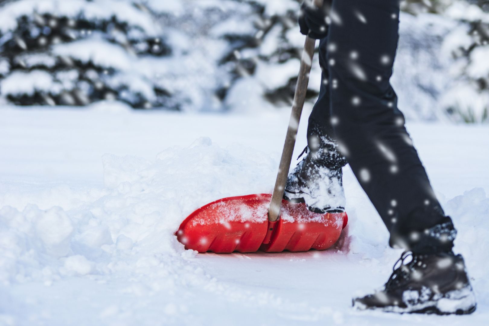 Фото: iStock/WDnet