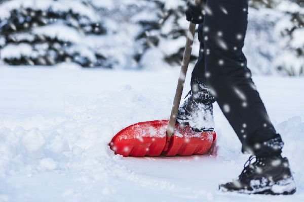  Фото: iStock/WDnet