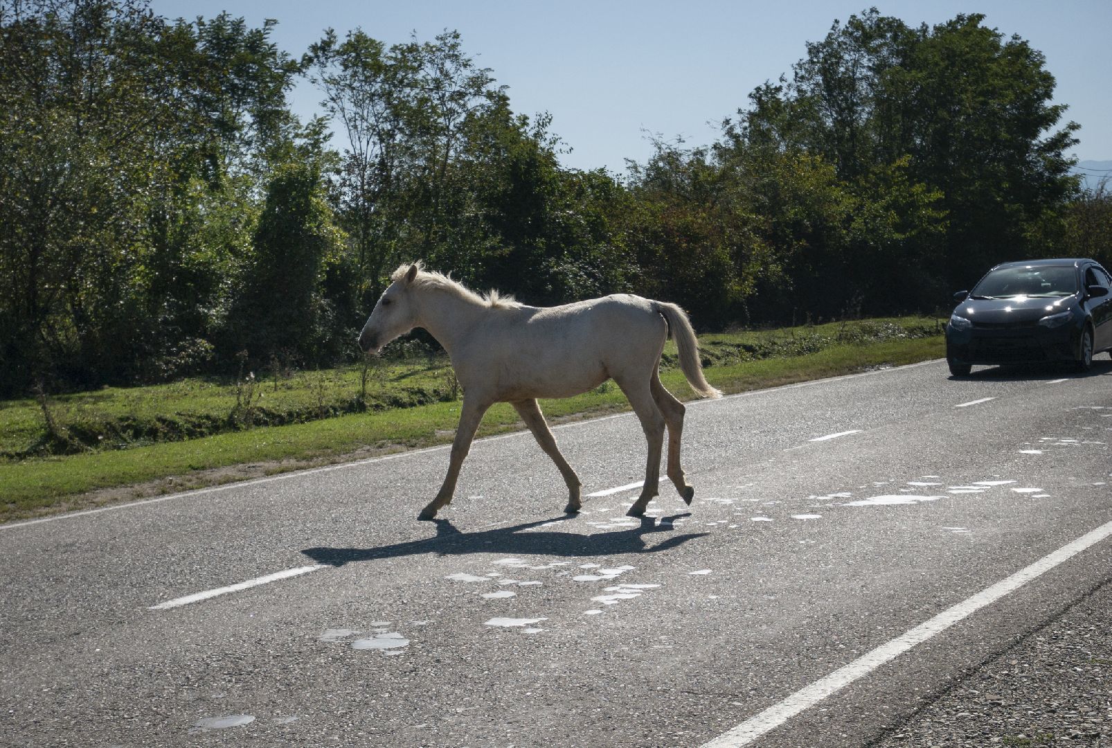 Фото: iStock/Chepko