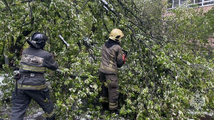 Сотрудники МЧС устраняют последствия непогоды в Московской области