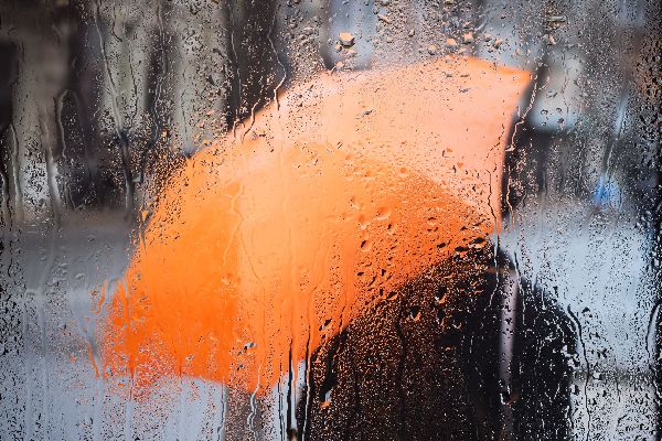 Фото: iStock/Germanovich