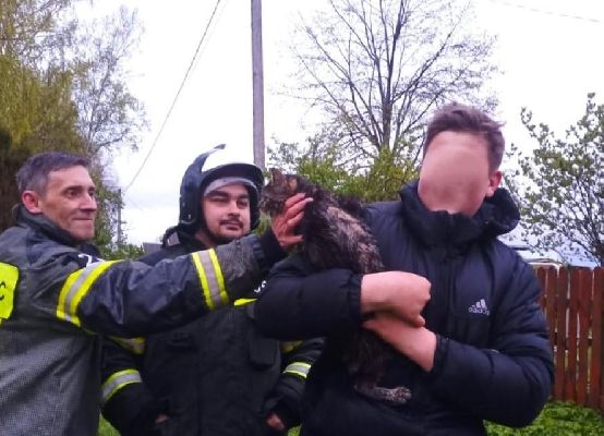 Фото: пресс-служба Мособлпожспаса