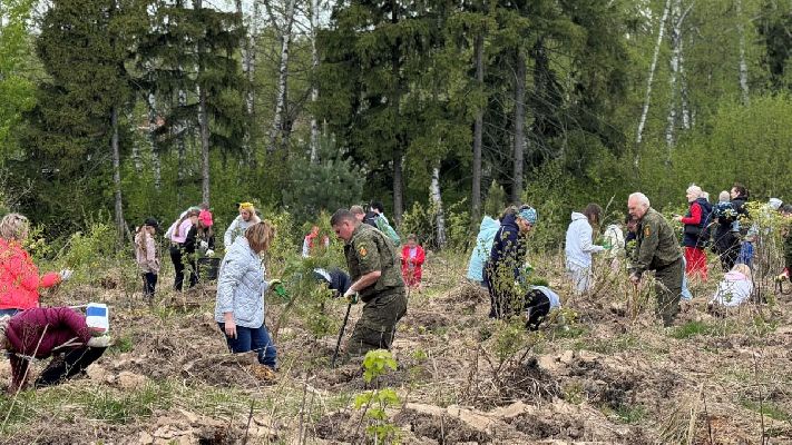 Фото: пресс-служба Комлесхоза МО