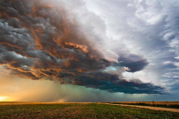 Фото: iStock/ mdesigner125