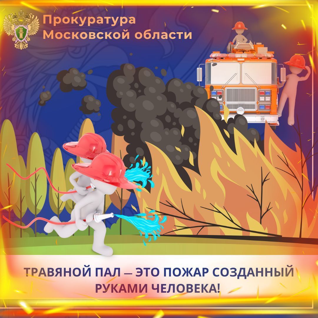 Фото: пресс-служба Прокуратуры МО