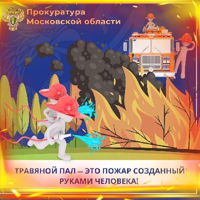 Фото: пресс-служба Прокуратуры МО