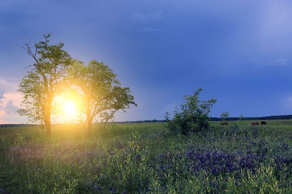 Фото: iStock/ BalazsKovacs