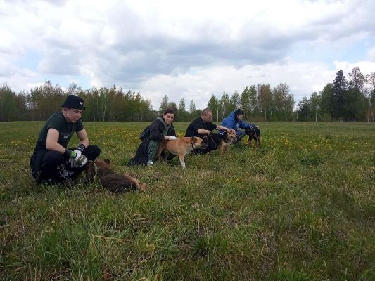 Фото: пресс-служба администрации Павлово-Посадского г. о. 