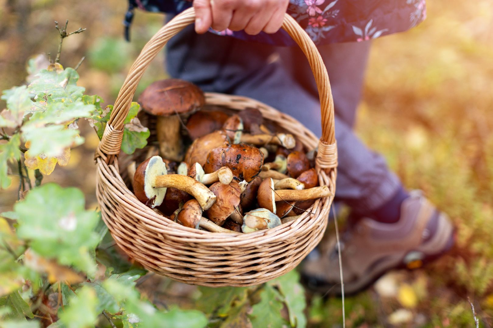 Фото: iStock/PIKSEL