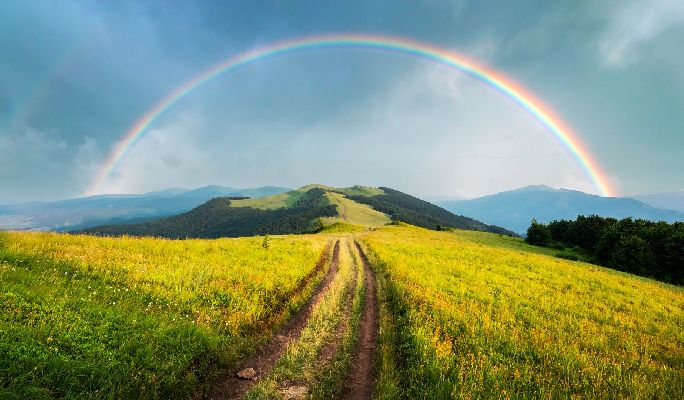 Фото: iStock/ Smitt