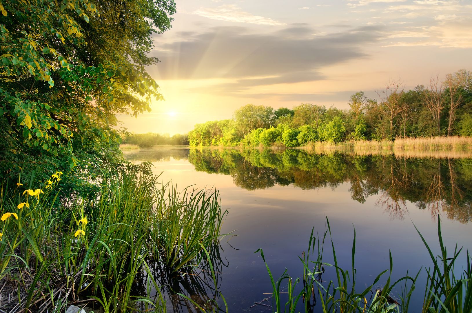 Фото: iStock/ Givaga