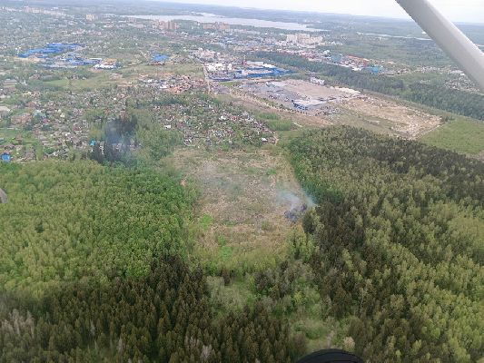 Фото: пресс-служба Комлесхоза МО