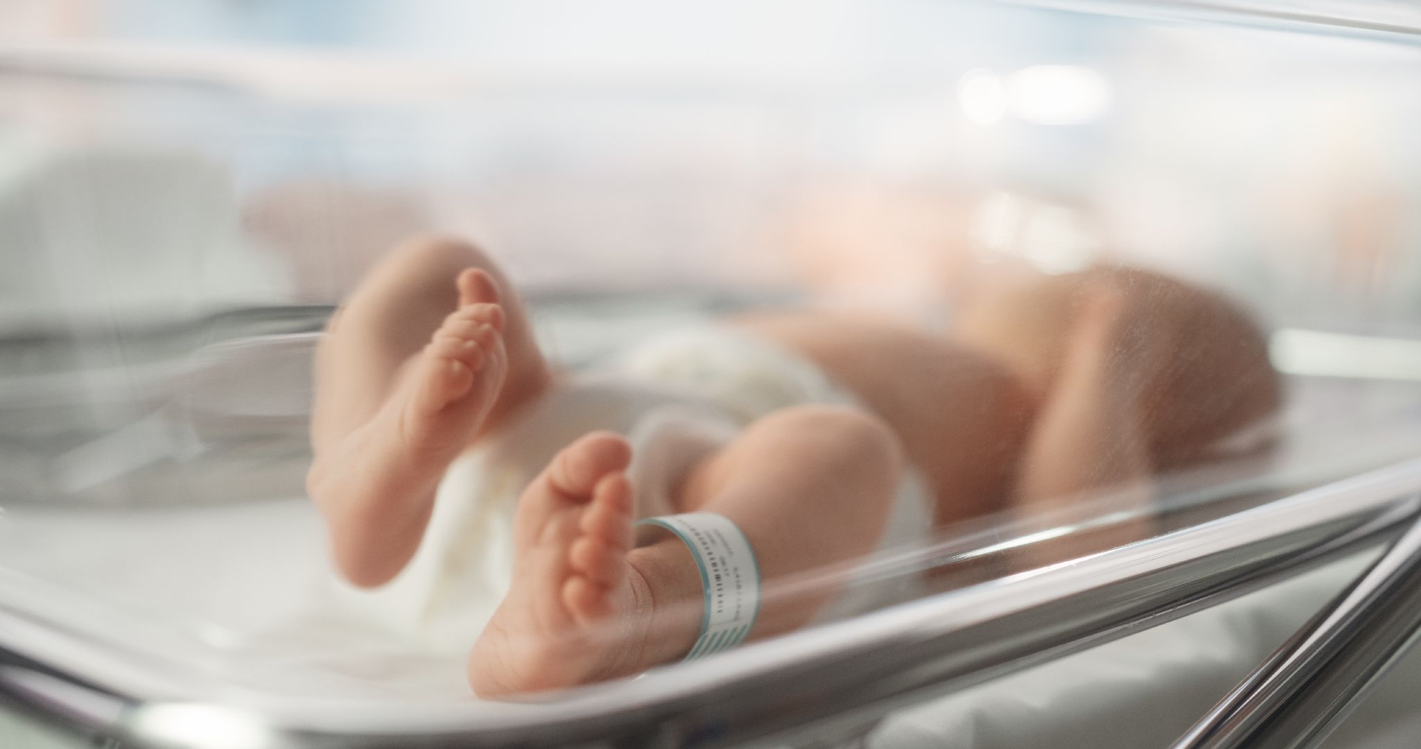 Фото: iStock / gorodenkoff