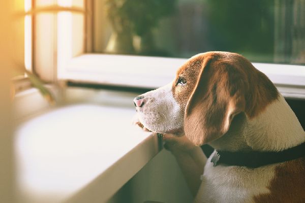 Фото: iStock / Tetiana Garkusha