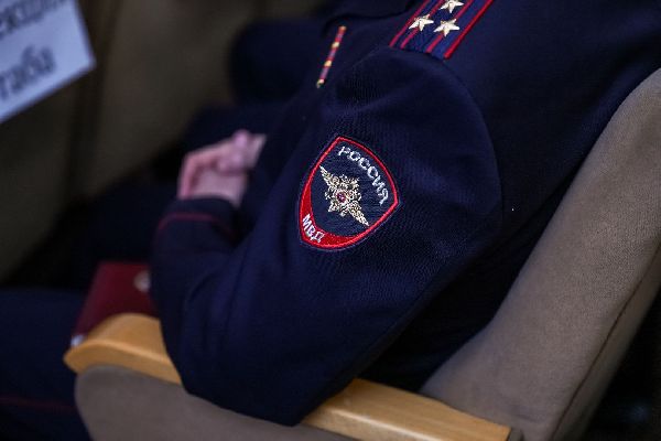 Истязавшего кошку одинцовского живодёра привлекли к ответственности