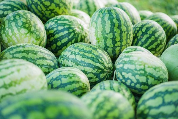 Фото: iStock / Ekaterina Utorova