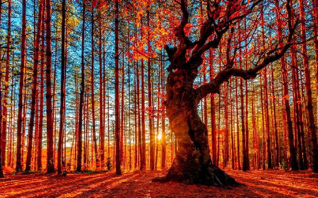 Фото: iStock/ corradobarattaphotos