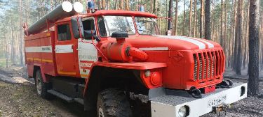 Фото: пресс-служба Комлесхоза МО