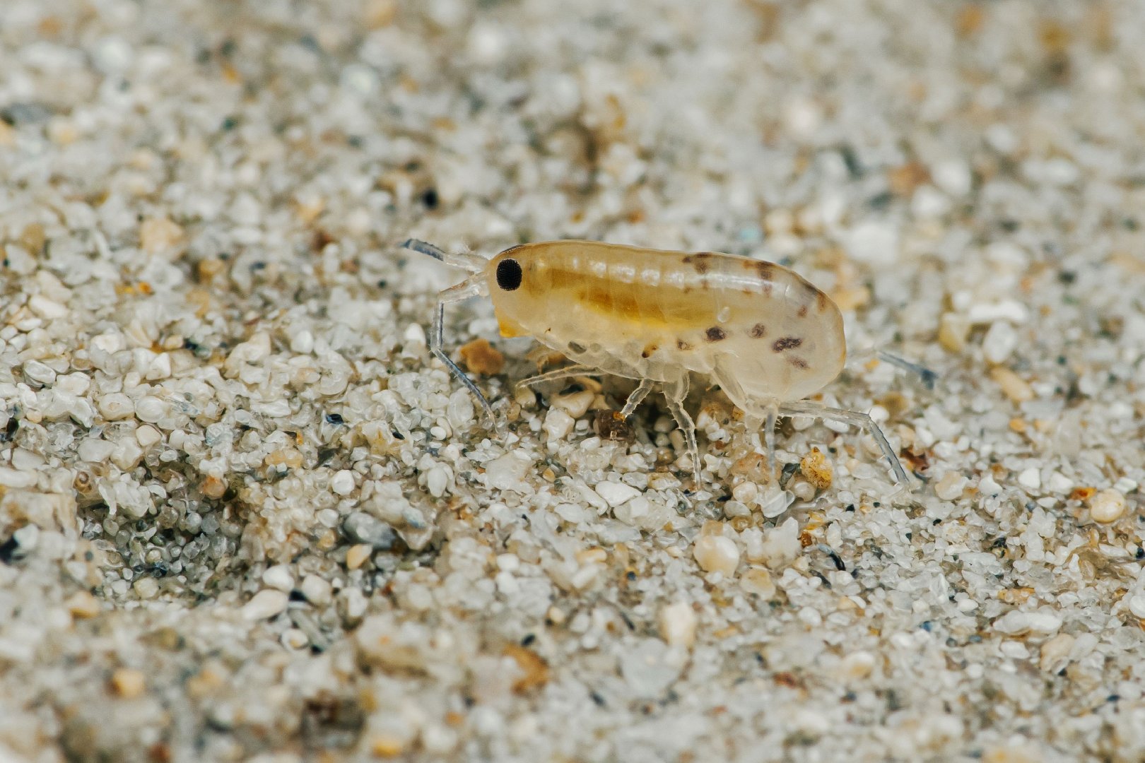 Izoh bilan porno va mashhur fotosuratlar