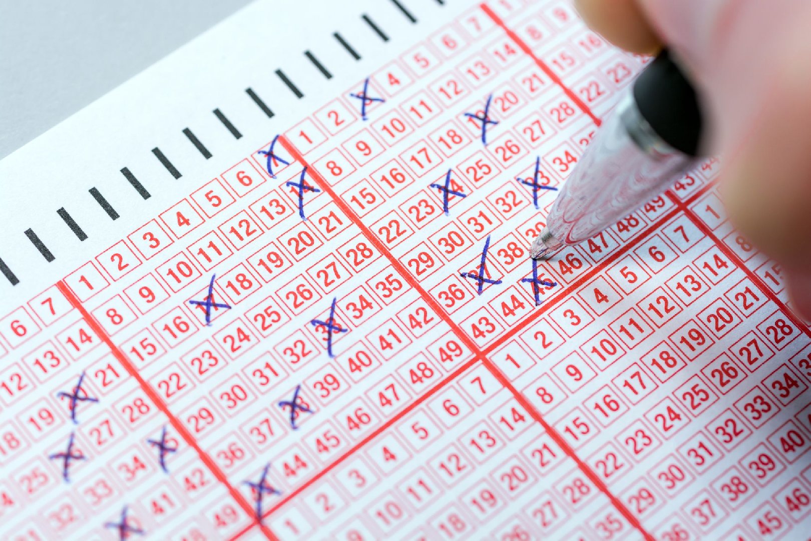 Вдова выиграла 12 с лишним миллионов рублей с помощью нейросети и отдала деньги на благотворительность