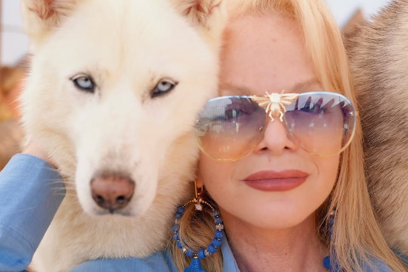 В Госдуме разработали комплекс мер для борьбы со сделками по «схеме Долиной»