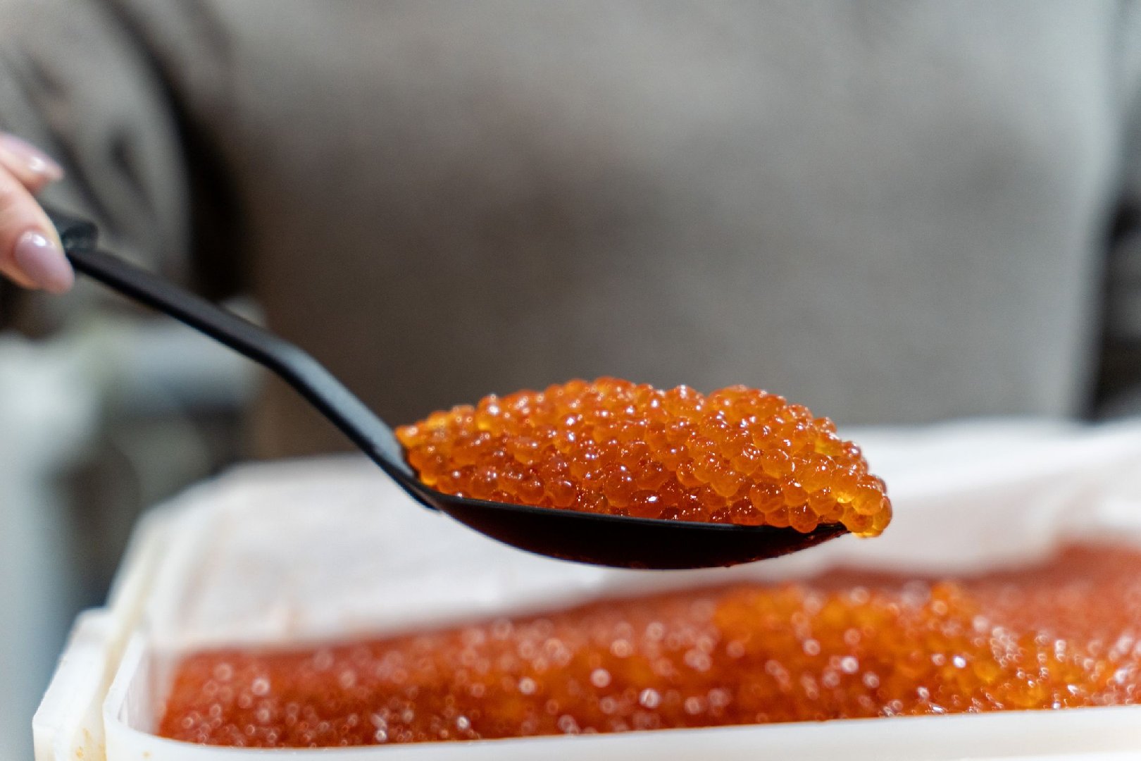 Стало известно, какая икра сильнее всего подешевела в РФ