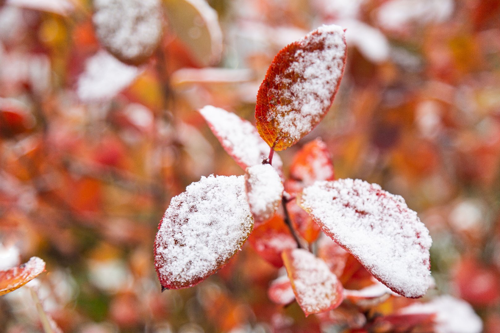 Синоптик рассказала, в каком регионе ожидается значительное потепление