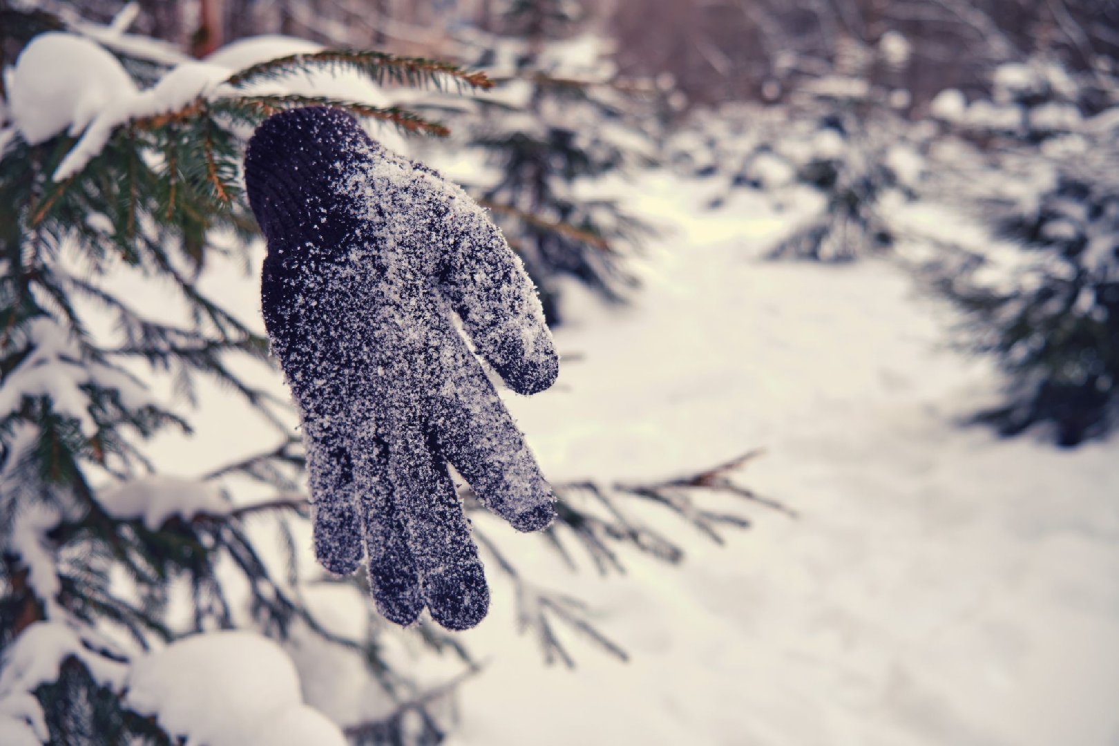 Спасатели объявили о готовности возобновить поиски пропавшей семьи Усольцевых