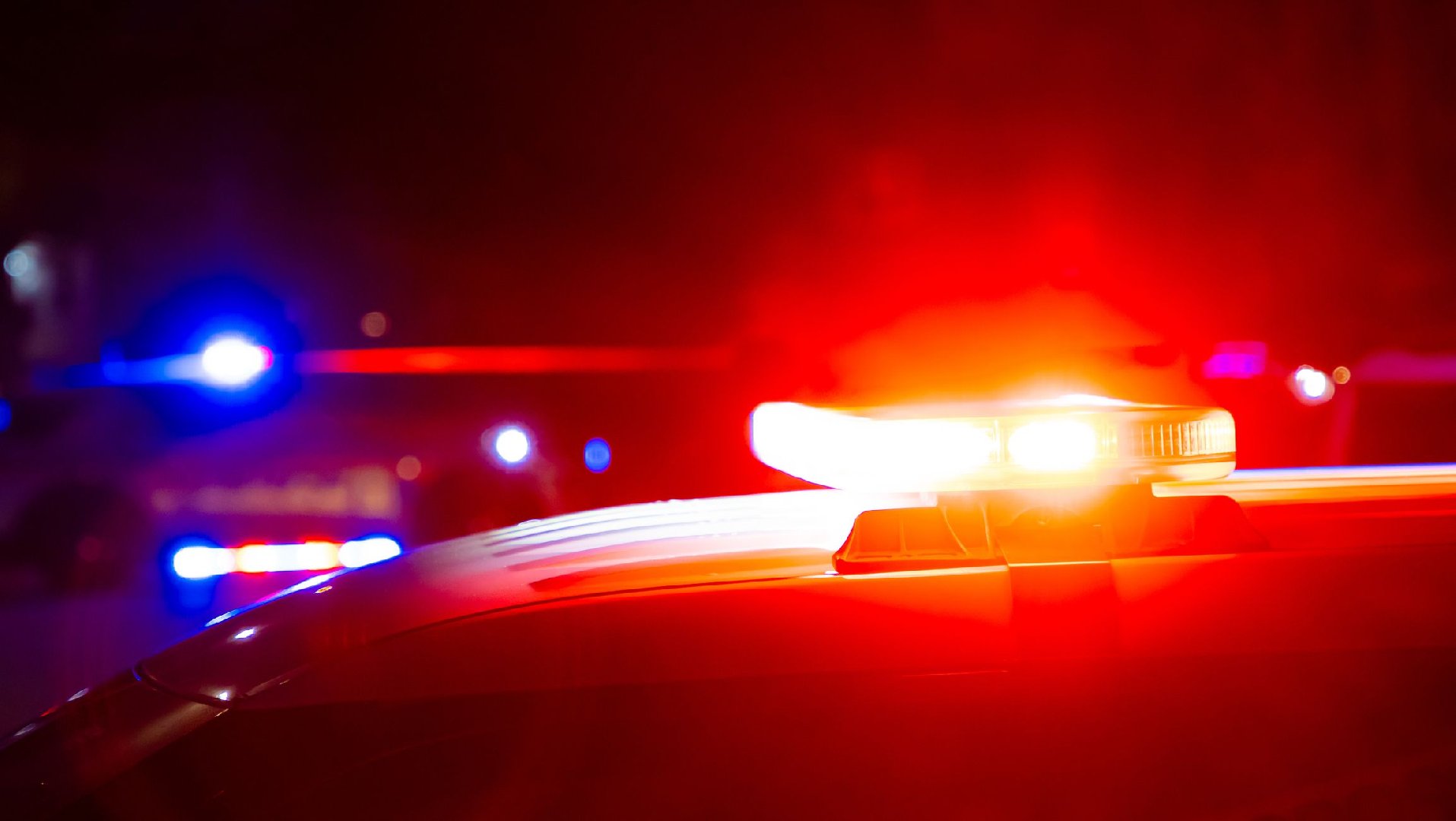 Голову модели российского происхождения похитили из гроба в Италии