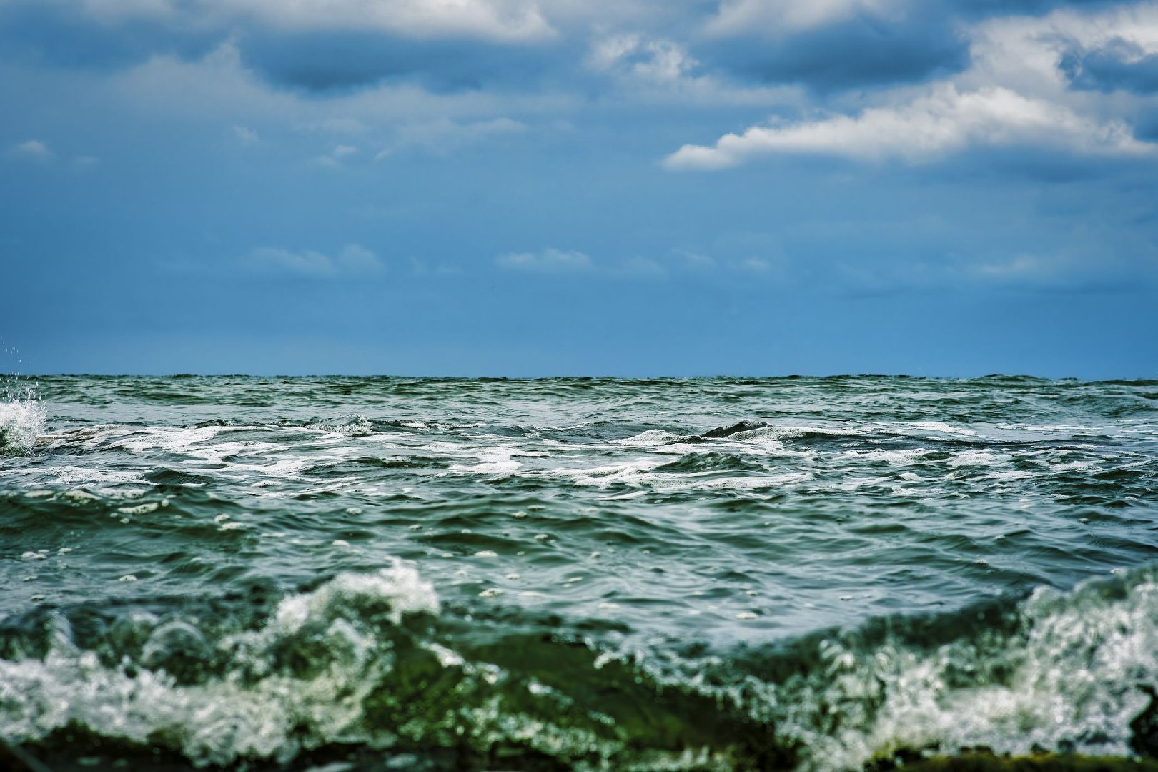 &laquo;Сцена из фильма ужасов&raquo;: На берегу острова обнаружили находку, которая повергла местных жителей в шок