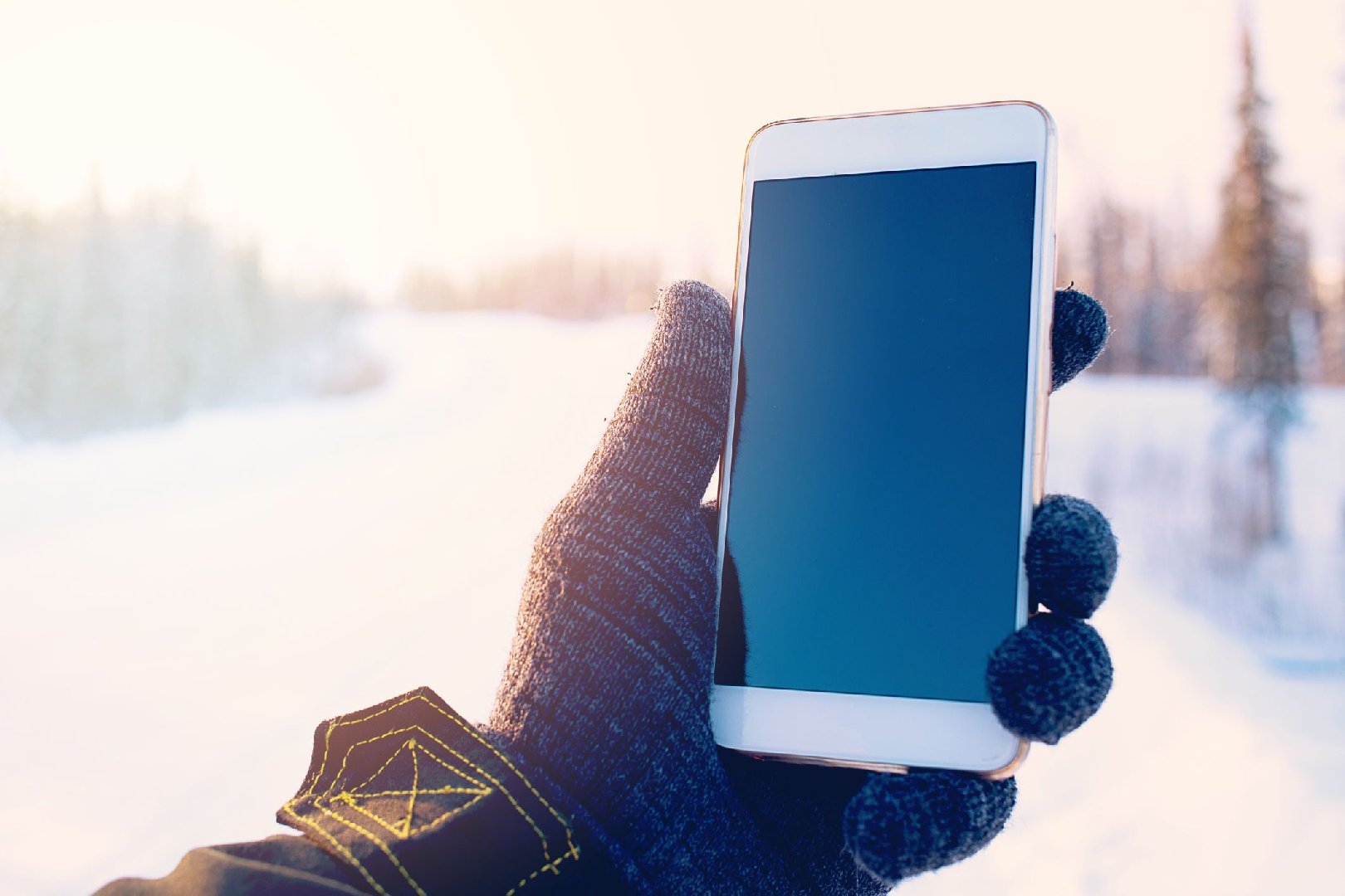 Экс-следователь назвал способ, который может помочь найти пропавших в тайге Усольцевых