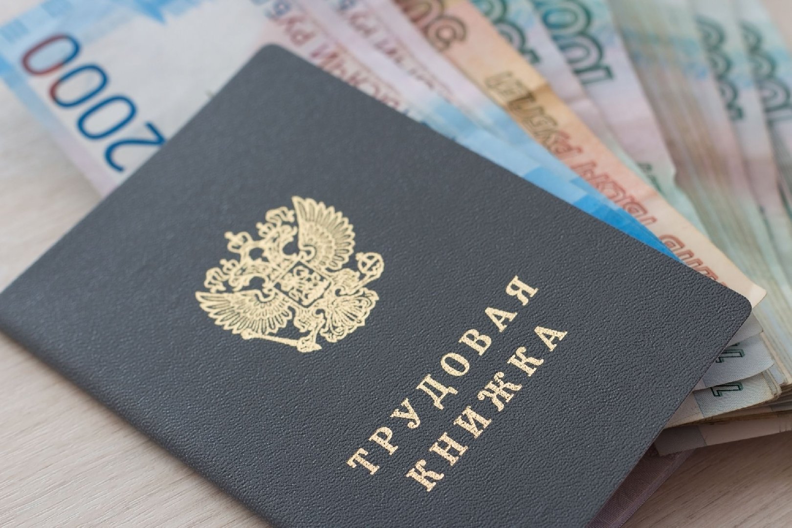 Карьерный консультант Курбанова призвала не связывать будущее с одной