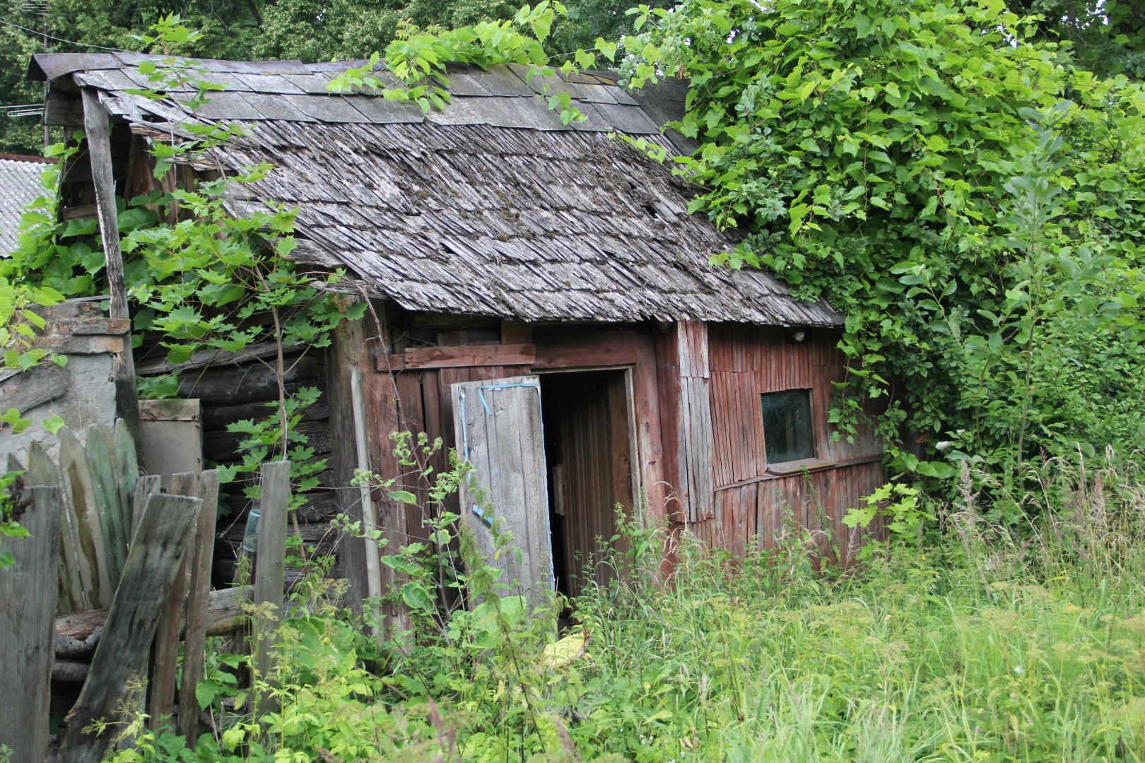 заросший участок фото