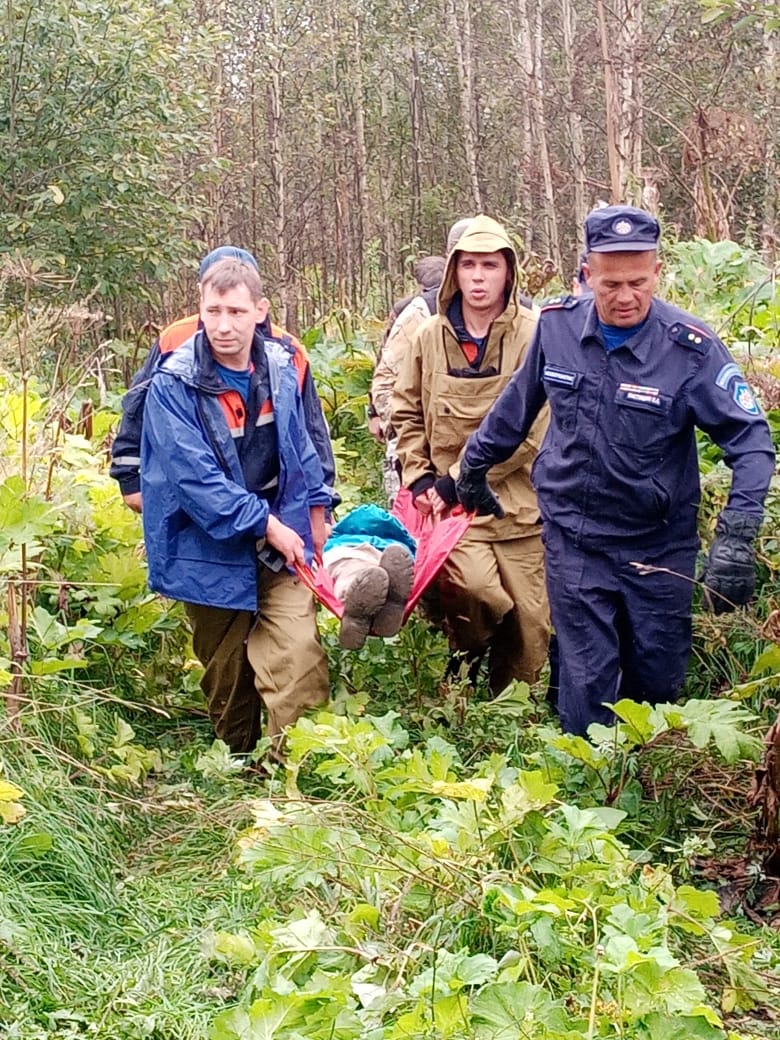 Бмв под солнечногорском